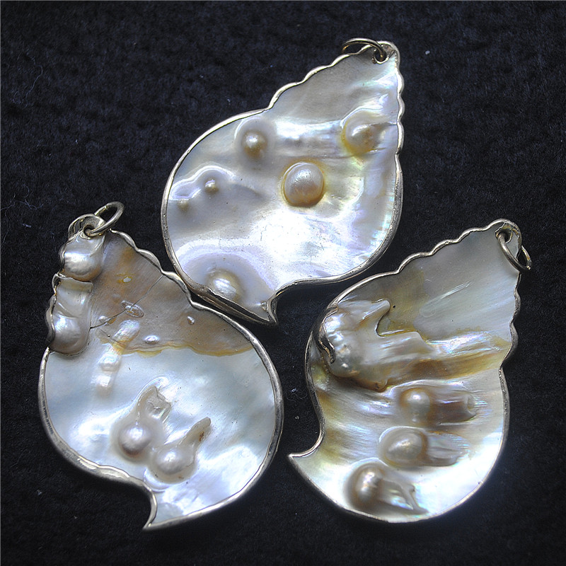 Women Fashion Nz - 3 Buah Liontin Kerang Alam Ibu