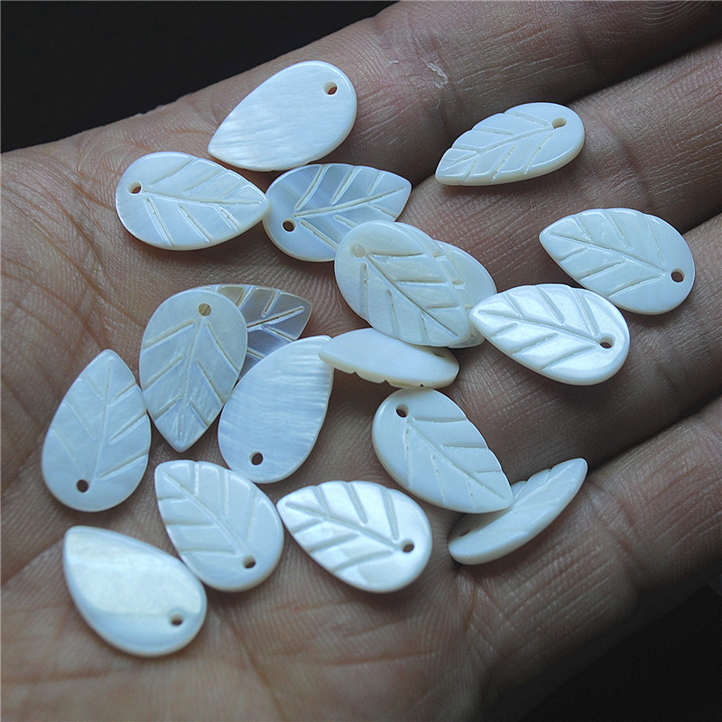 30 buah daun cangkang putih be - Women Fashion Nz ulasan dan harga